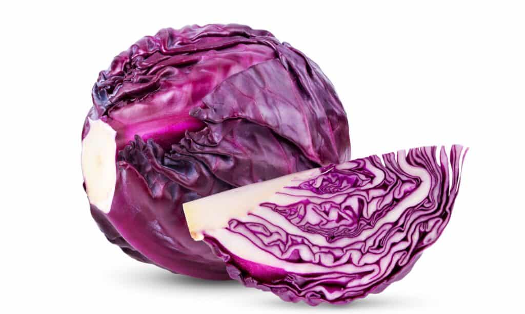 Radicchio vs Cavolo Rosso