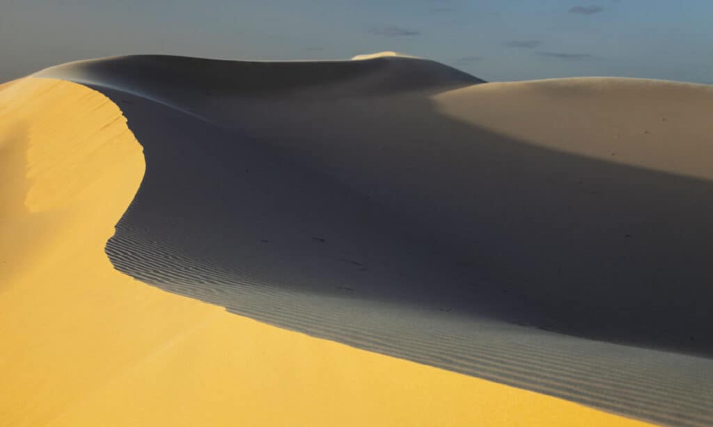 Monahans Sandhills