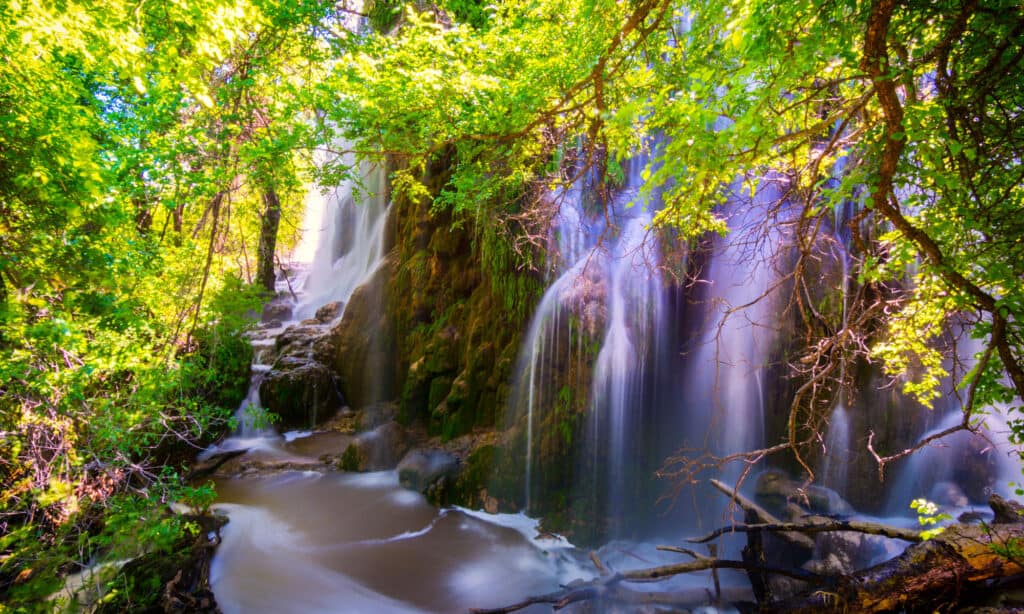 Parco statale di Colorado Bend