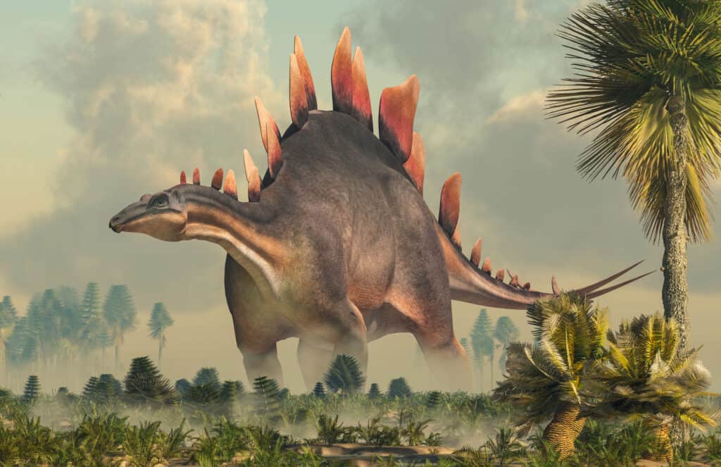 Stegosauro  