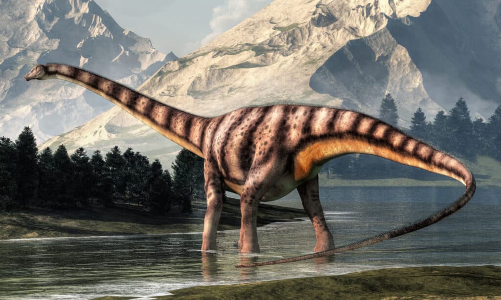 Rendering 3D di Diplodocus