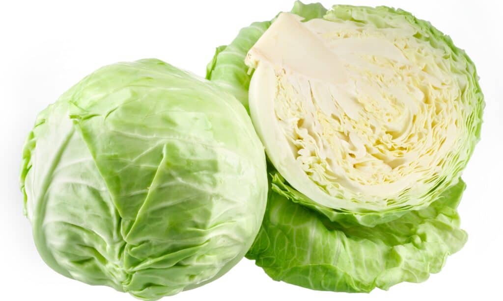 Cavolo rosso vs cavolo verde