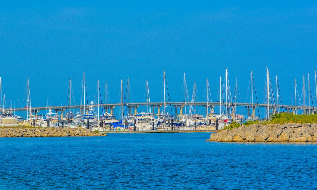Contea di Santa Lucia