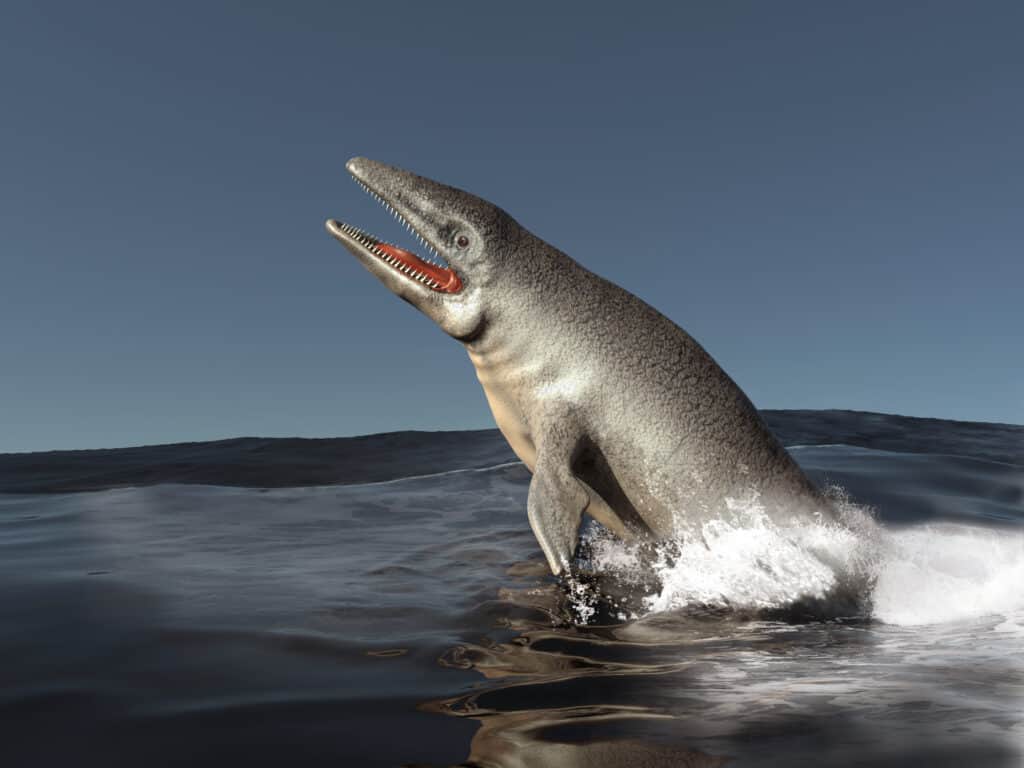 Mosasauro