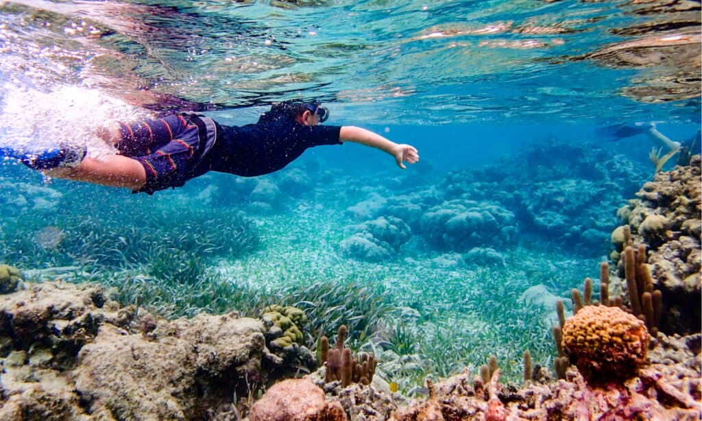 La maggior parte delle isole esotiche - Reef in Belize