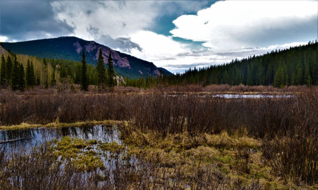 Il deserto di Lost Creek