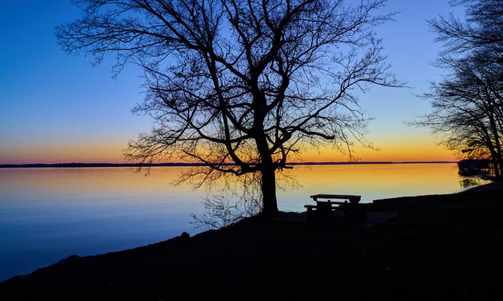 Lago Wheeler