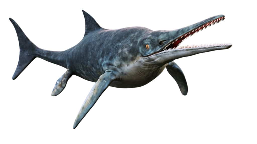 Ittiosauro