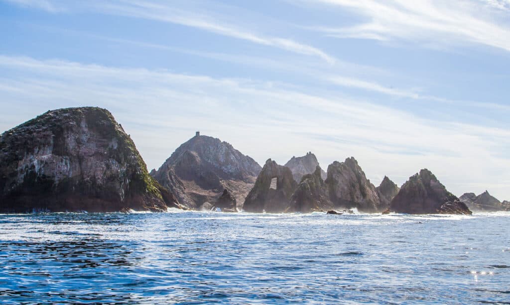 Isole Farallon, San Francisco