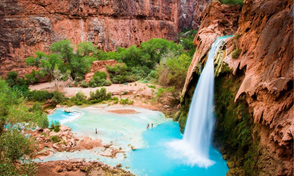Havasu cade Arizona