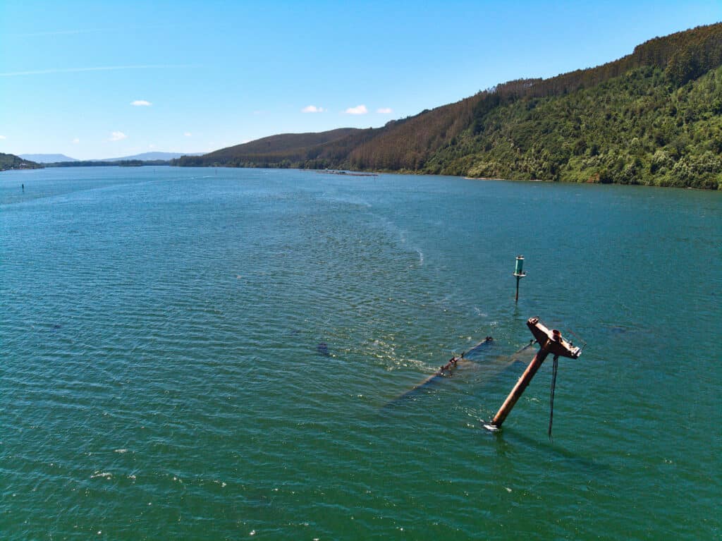 Navi affondate a seguito dello tsunami causato dal terremoto di Valdivia 
