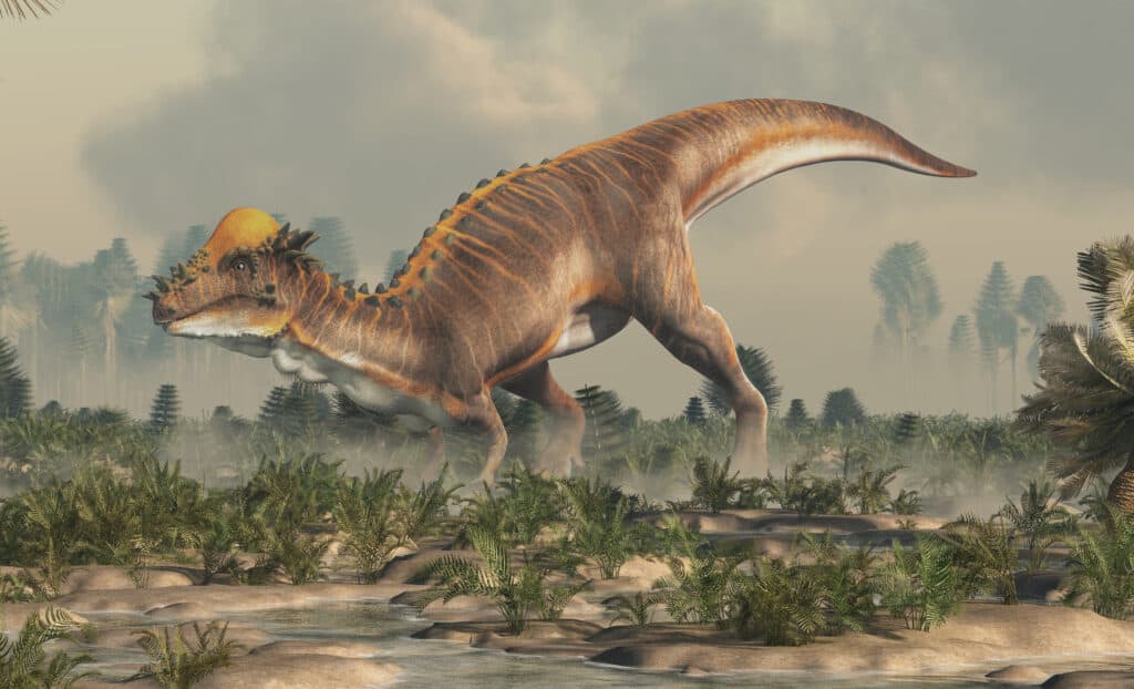 Pachicefalosauro