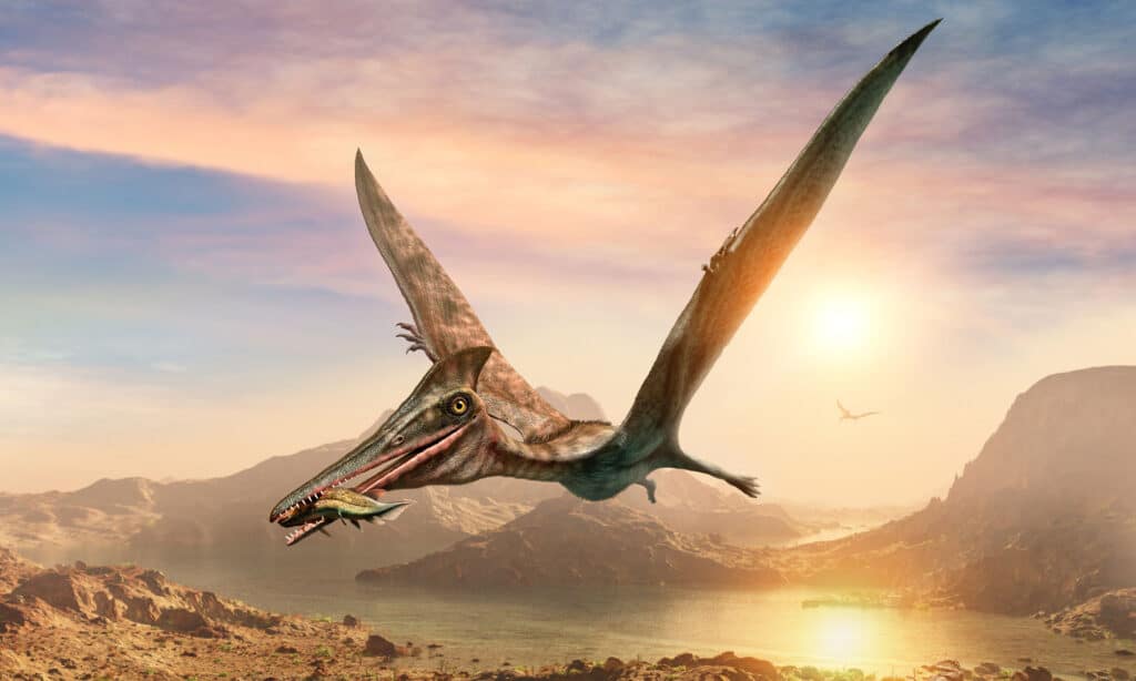 pterosauri 
