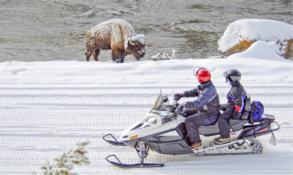 Yellowstone a febbraio