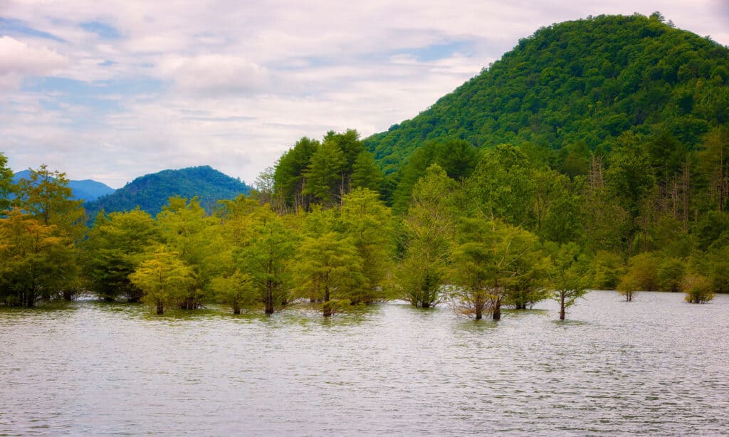 Lago Watauga