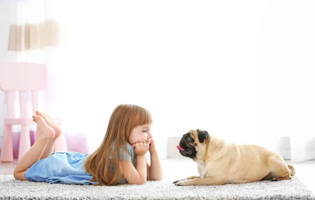 carlino con bambino
