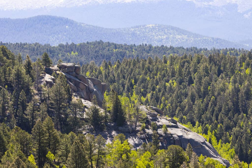Muller State Park
