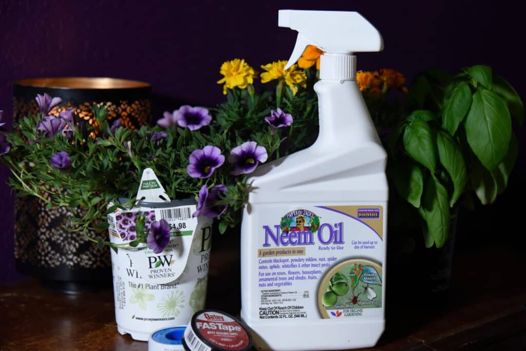 olio di neem spray