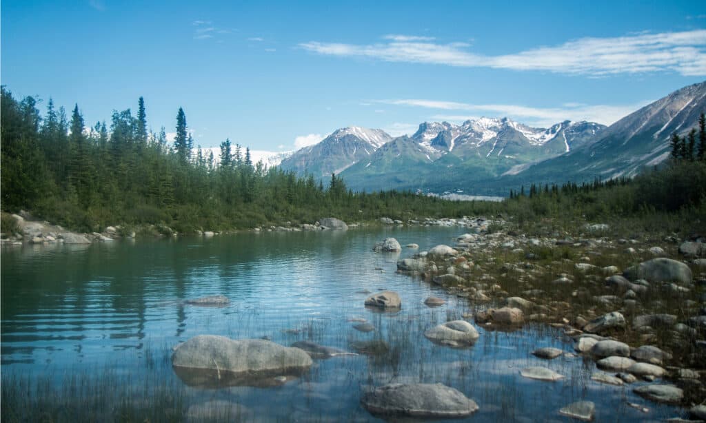 Wrangell-St.  Elias National Park and Preserve in Alaska, Stati Uniti