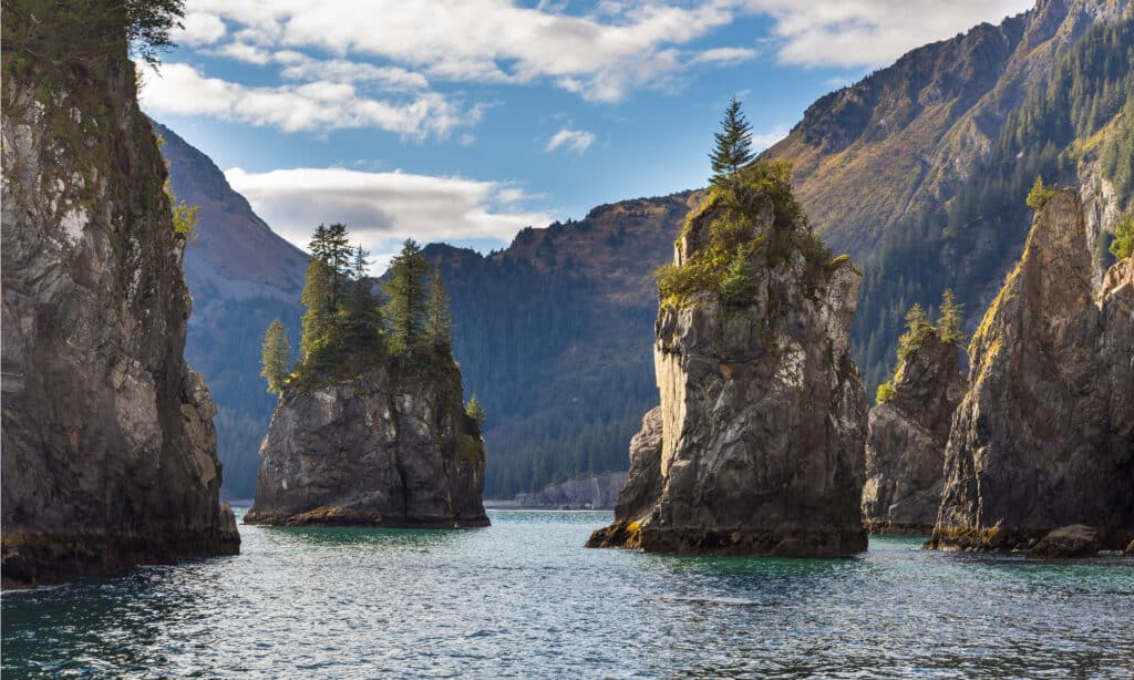 Parco nazionale dei fiordi di Kenai