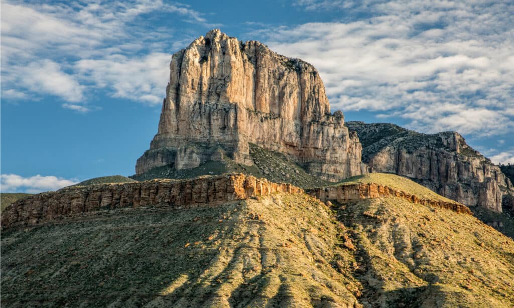 Parco Nazionale delle Montagne Guadalupe