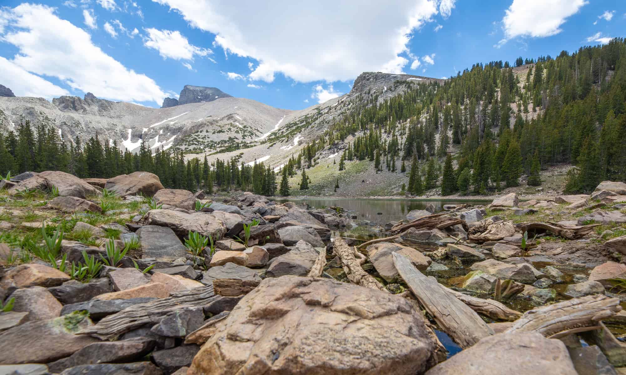 Parco nazionale del Grande Bacino