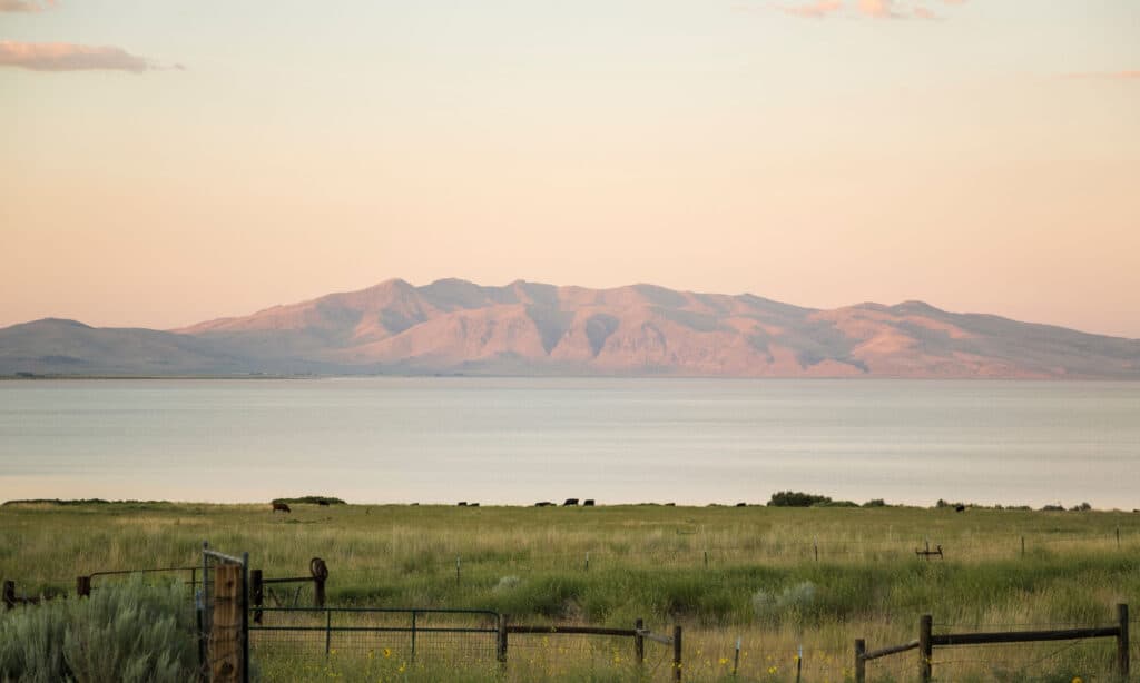 Miele Lake California