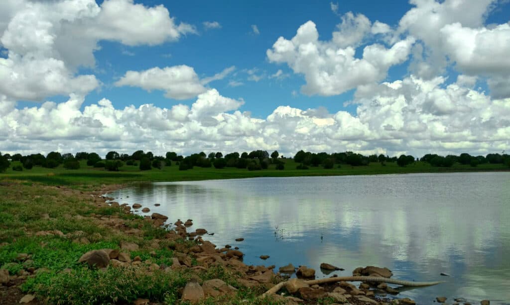 Lago Kinnikinick