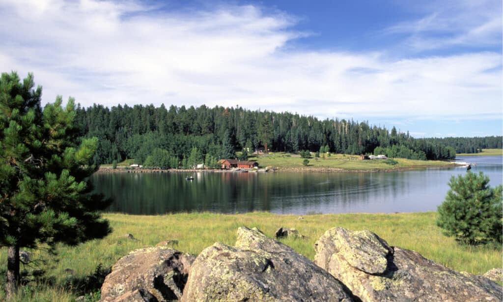Grande Lago Arizona