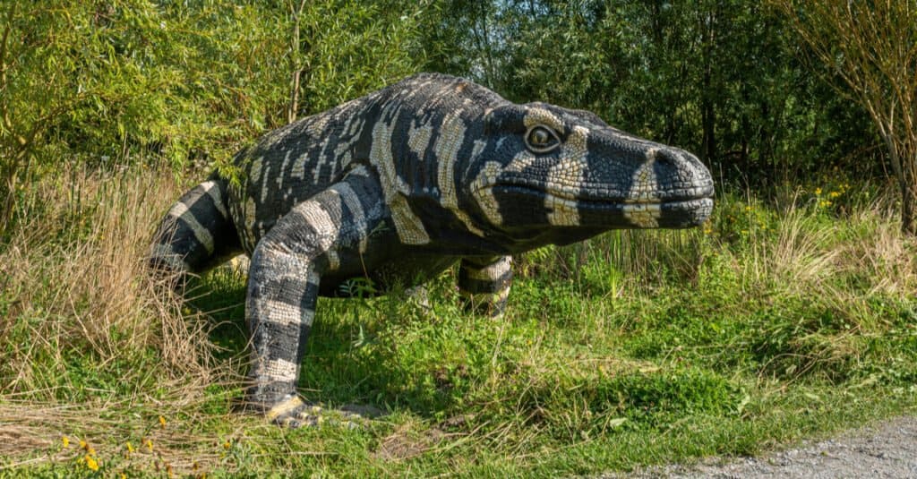Monitora i fatti della lucertola - Megalania