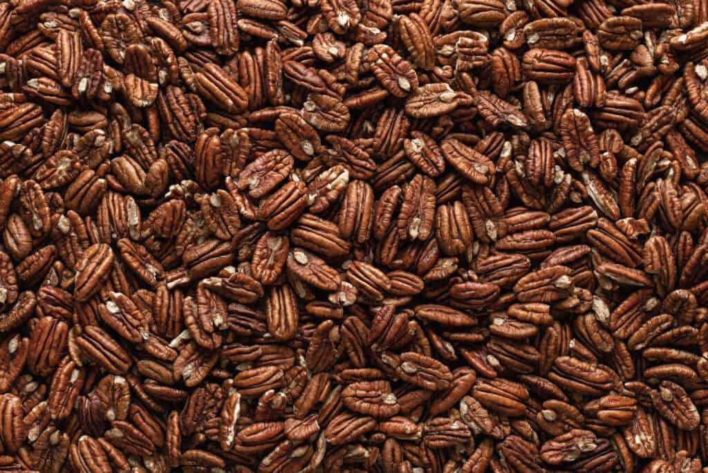 Noci Pecan