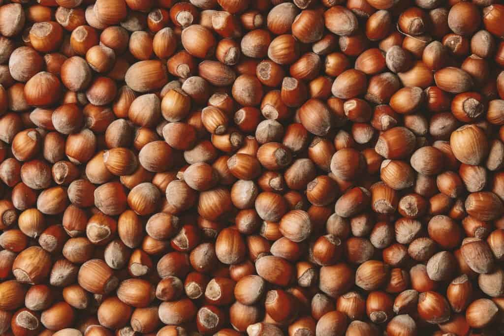 Nocciole