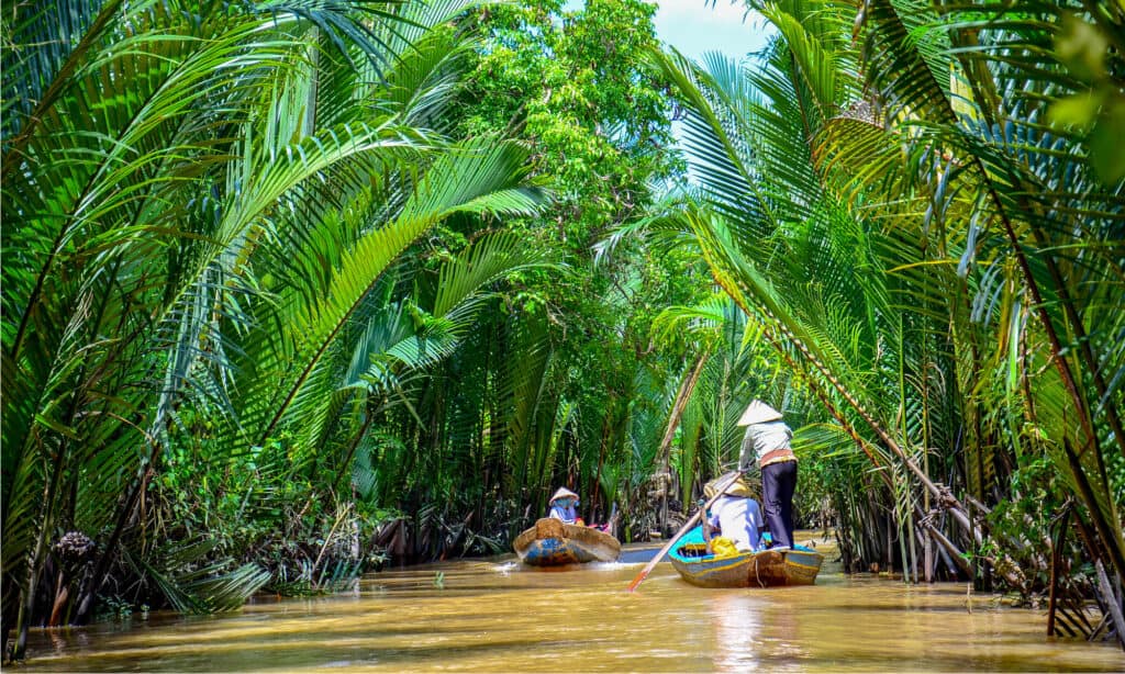 Il delta del Mekong