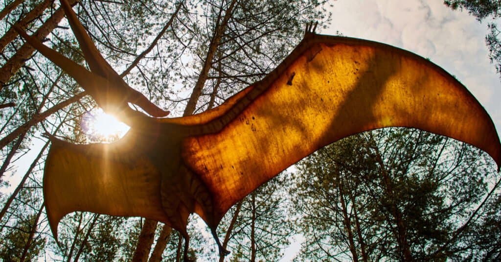 Incontra Quetzalcoatlus: il dinosauro volante di 50 piedi in Jurassic World Dominion