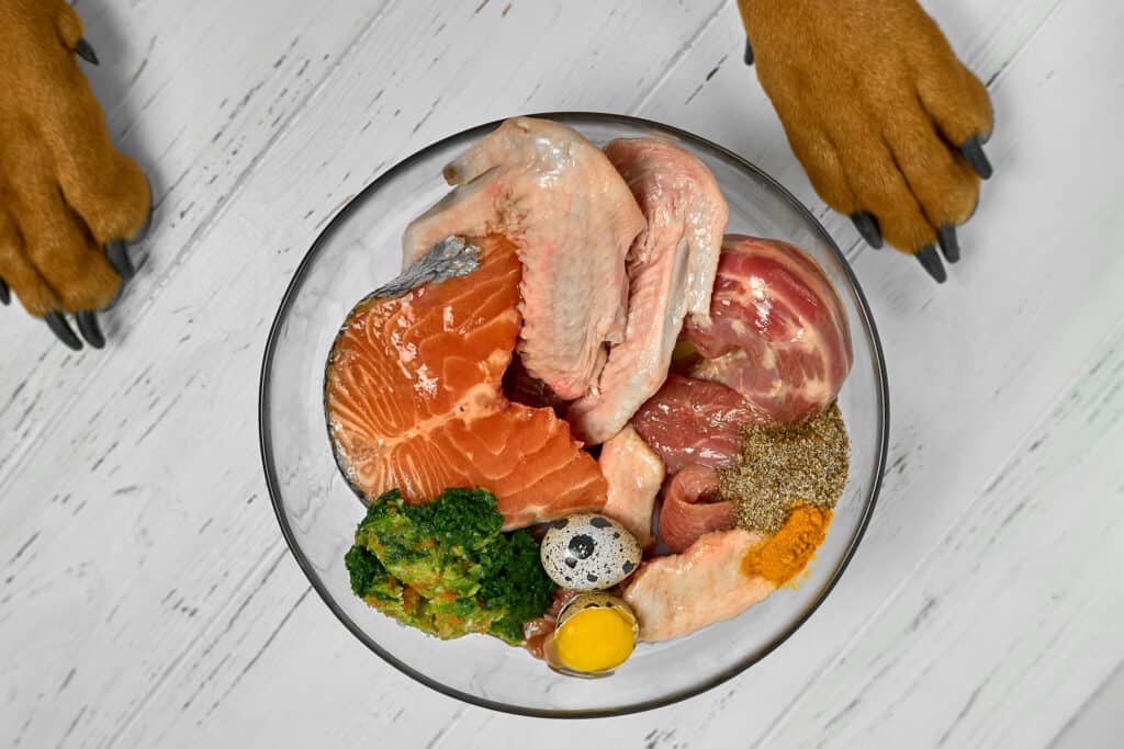 cibo per cani crudo