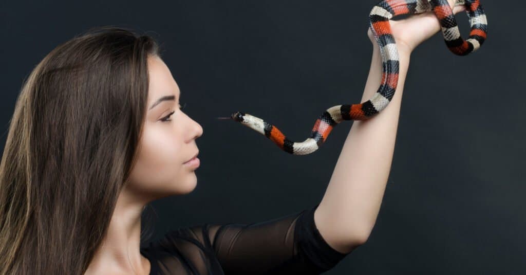 Serpente del latte - Serpente del latte della tenuta della donna