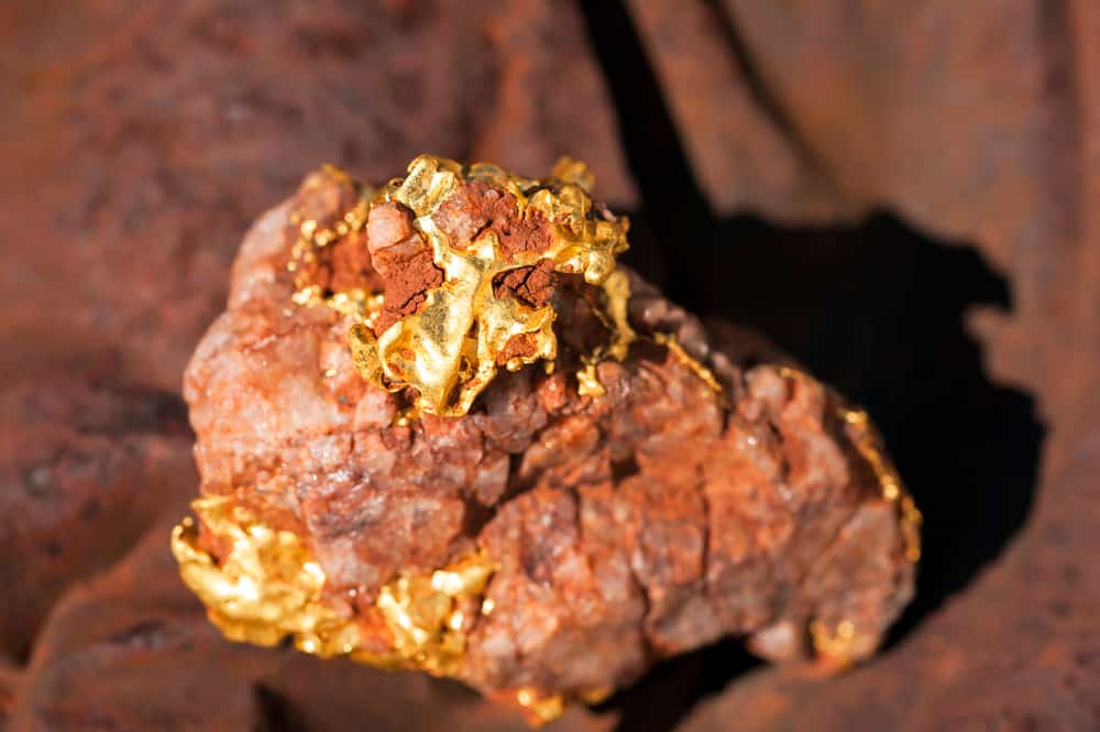 esemplare d'oro