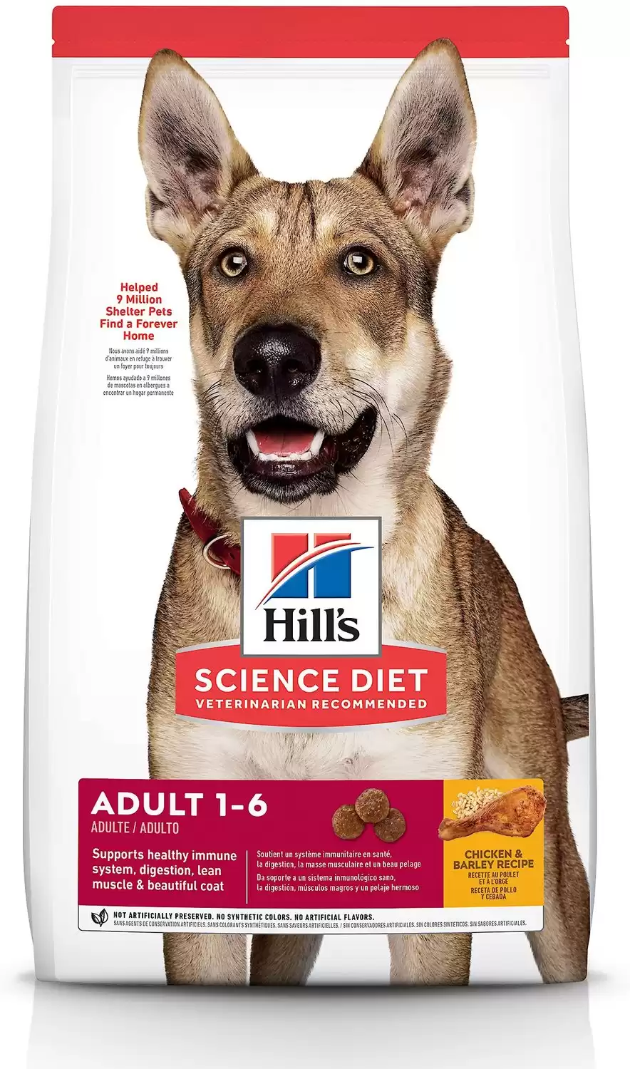 Hill's Science Diet Adult Pollo e Orzo Ricetta