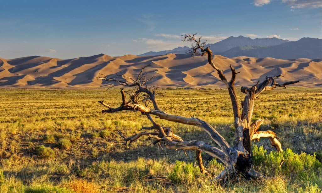 Parco Nazionale e Riserva delle Grandi Dune di Sabbia