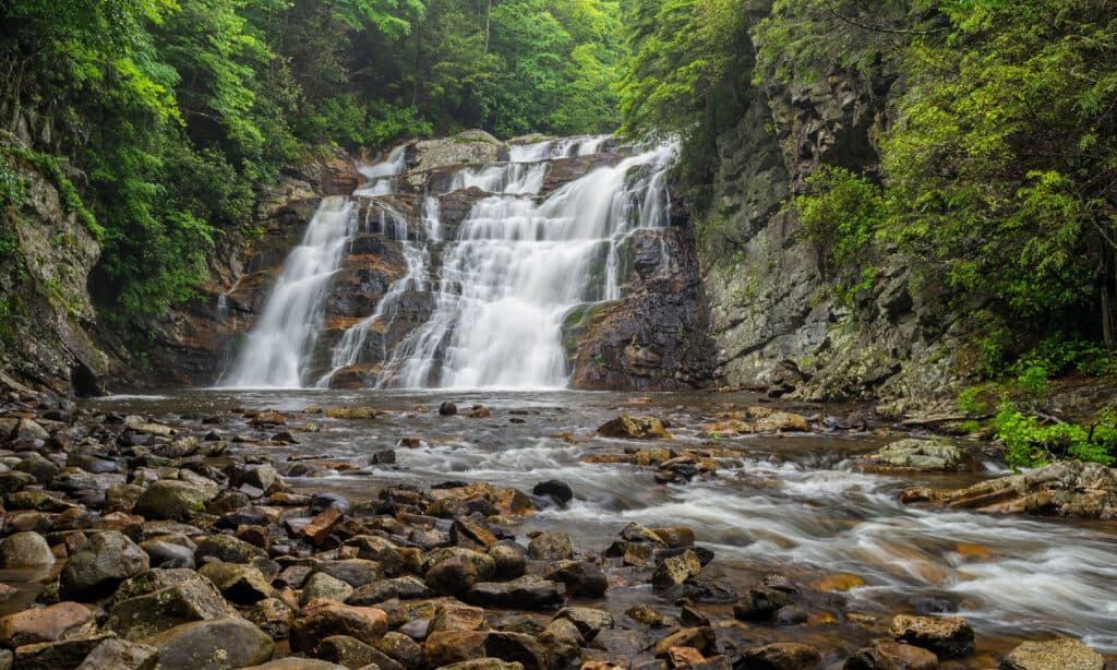 Cascate di alloro 