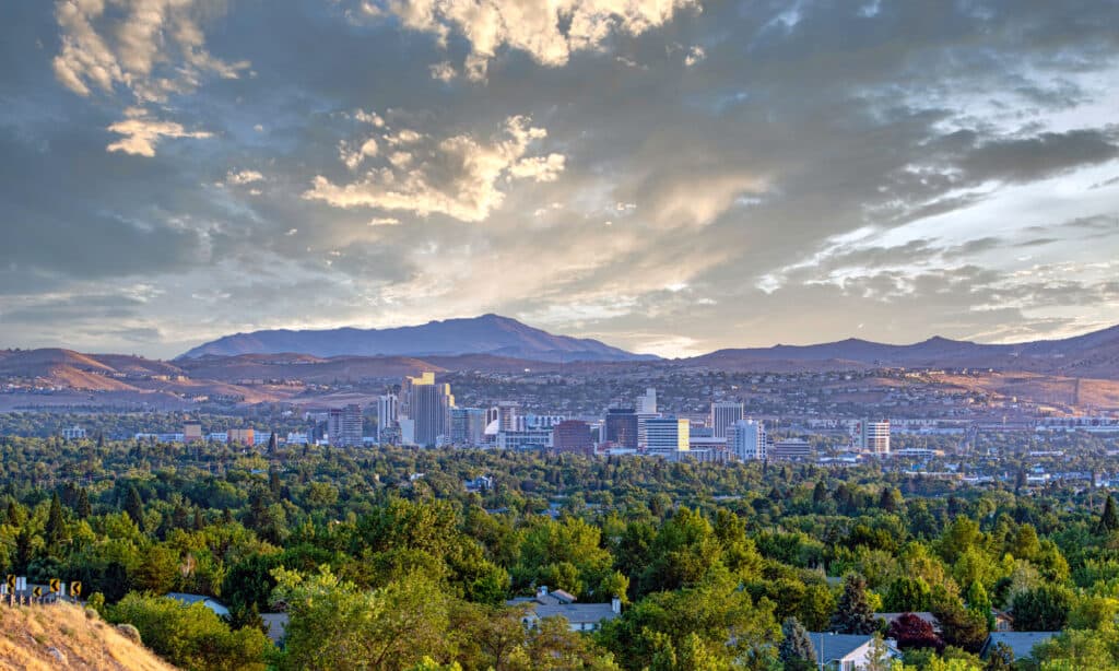 Le varie regioni geografiche del Nevada offrono un'esperienza allergica unica