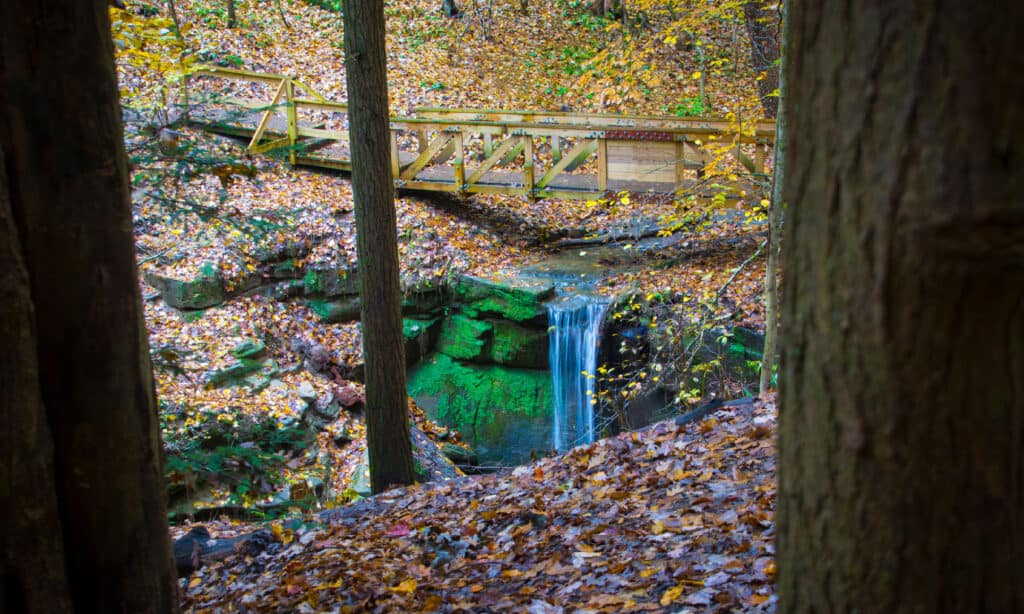 La piccola Lyons cade nell'Ohio