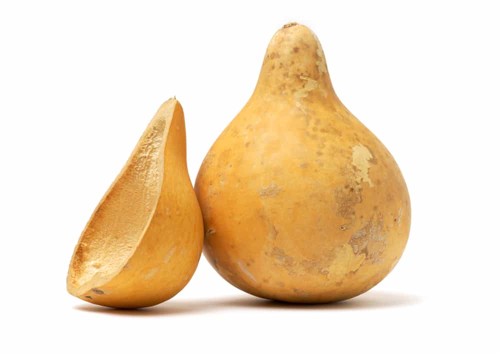 zucca