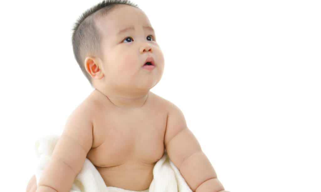 bambino