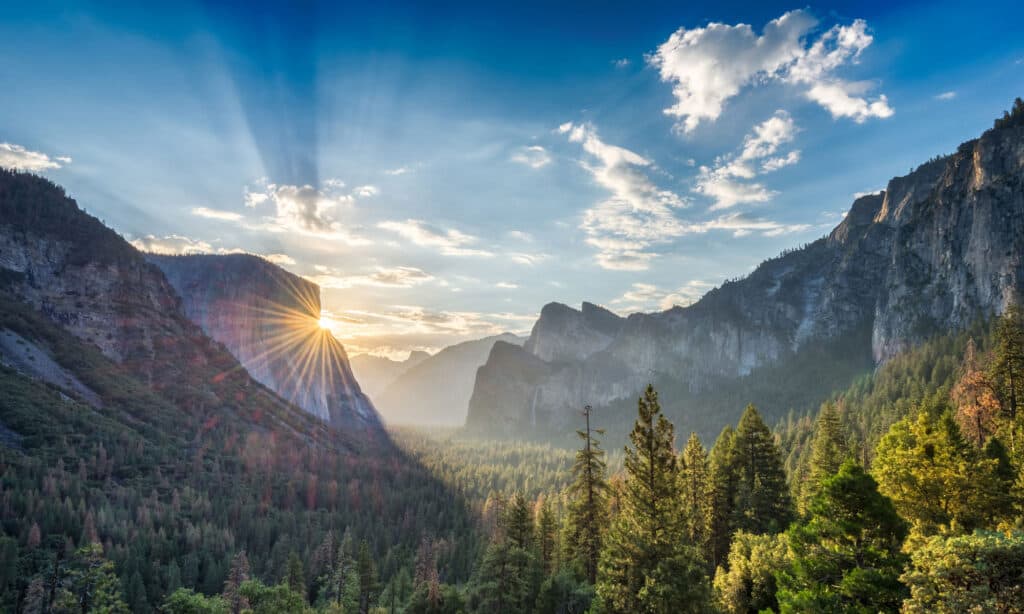 Parco Nazionale Yosemite