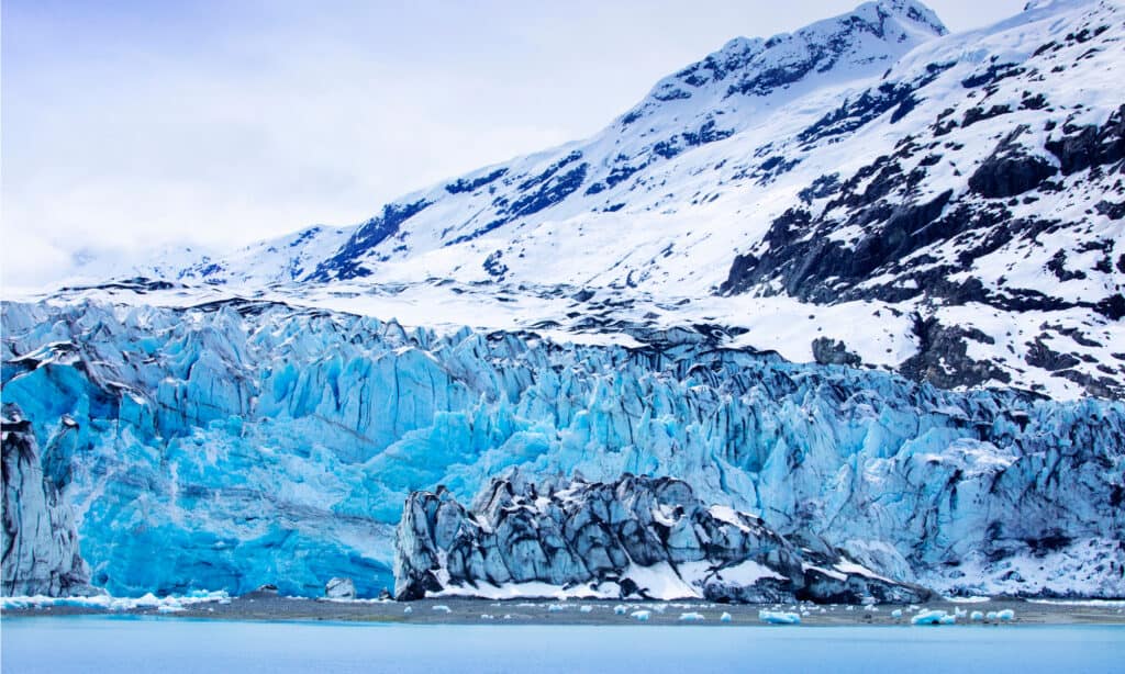 Parco nazionale e riserva di Glacier Bay in Alaska, Stati Uniti