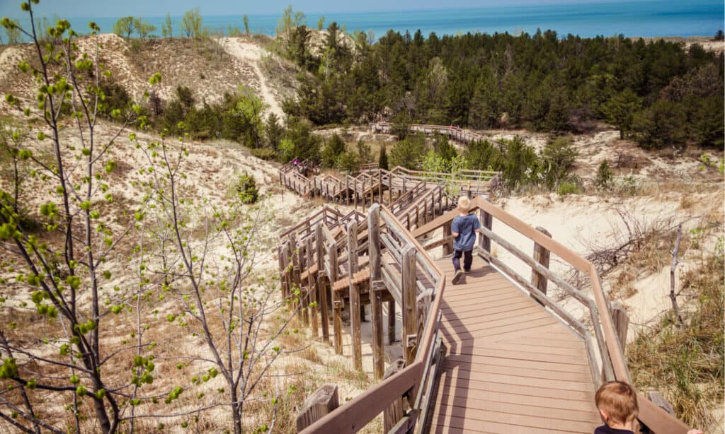 Parco nazionale delle dune dell'Indiana