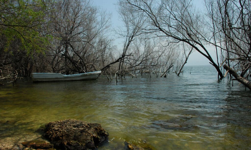 Lago Enriquillo Repubblica Dominicana