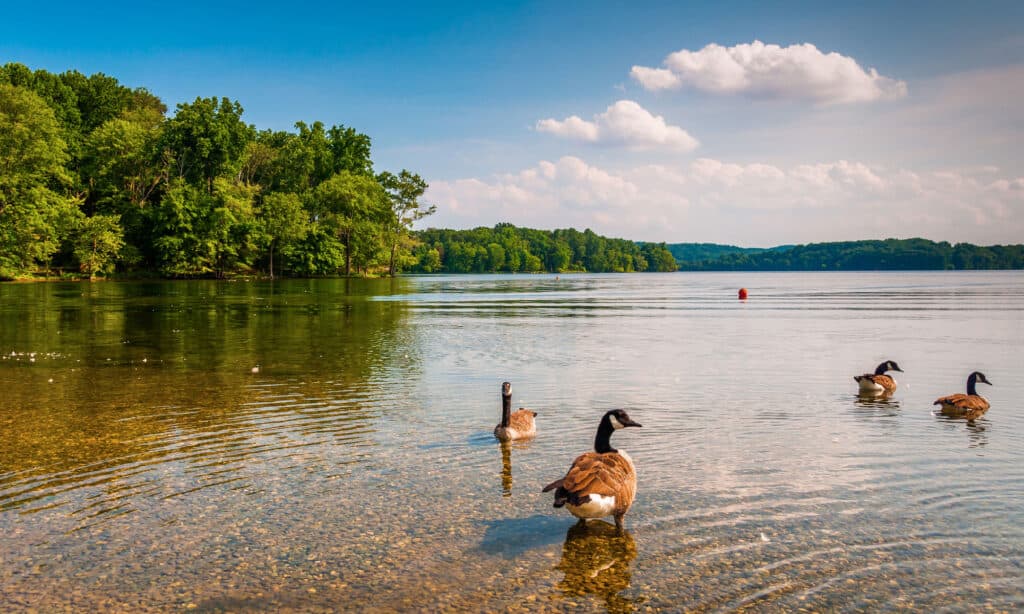 Bacino idrico di Loch Raven, Maryland