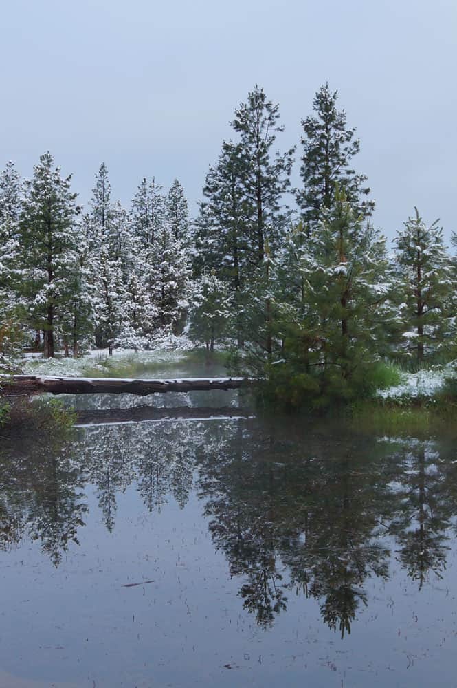 Scena di Bonanza Oregon